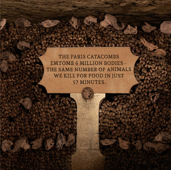 An image of the Paris catacombs - instead of human bones, there are animal bones inside. The whole scene is very dark with a big old sign in the center. The sign reads IT WOULD TAKE 57 MINUTES TO FILL ONE CATACOMB* FULL OF ANIMALS KILLED FOR FOOD IN THE U.S. *1 CATACOMB HOLDS 6 MILLION BODIES