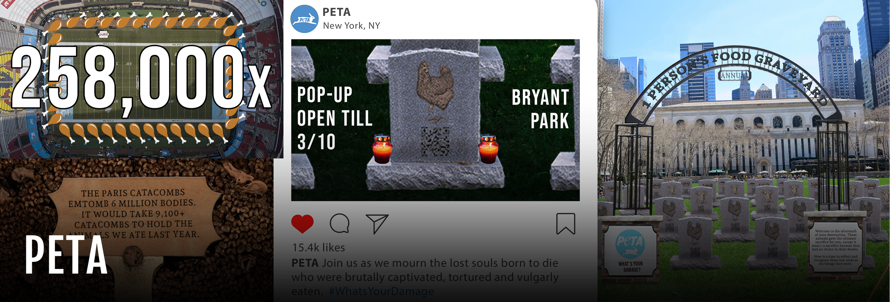 Snapshot of a few campaign pieces with the title PETA